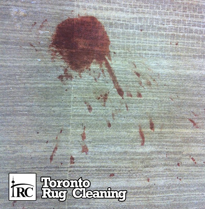 Rug & Carpet Stain Removal Services