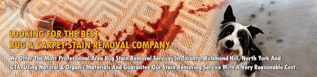 Rug & Carpet Stain Removal, Rug Wine Spill, Toronto's Best Stain Removal Company